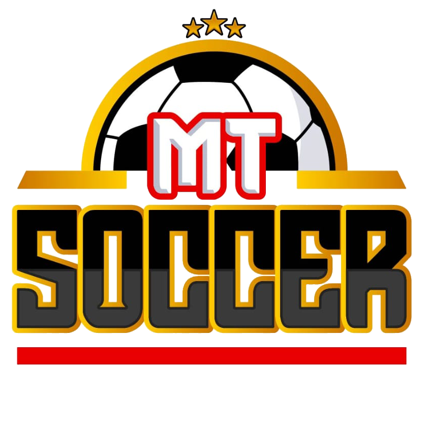 Logo Minisoccer